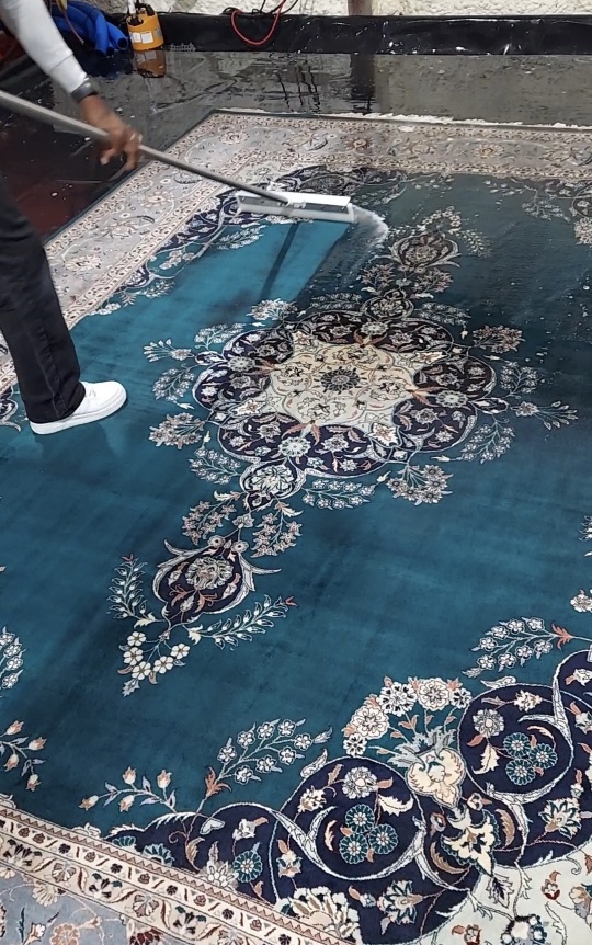 Interior Design Services Carpet Cleaning Mt Pleasant Sc
